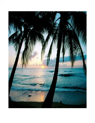 How to Stay on the Beach? - slide 1