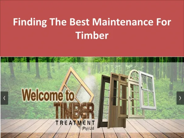 Finding The Best Maintenance For Timber
