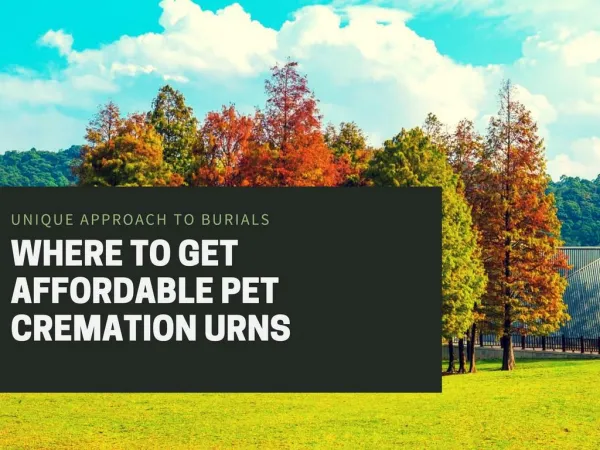 Where to Get Affordable Pet Cremation Urns