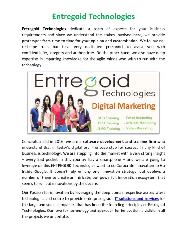 Entregoid Technologies Digital Marketing Nagpur