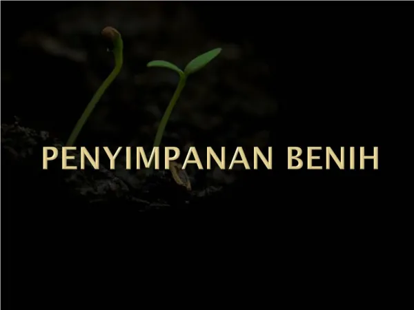 Penyimpanan Benih