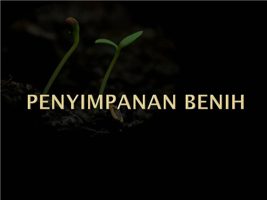 penyimpanan benih