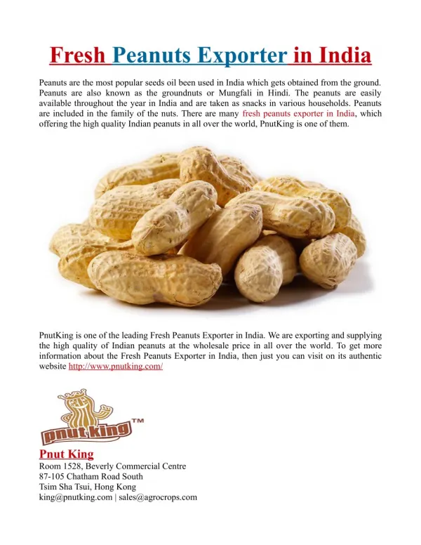 Fresh Peanuts Exporter in India