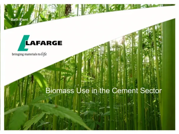 Biomass Use in the Cement Sector