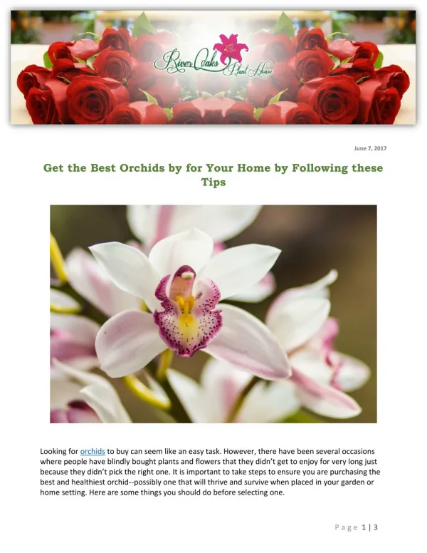 Get the Best Orchids by for Your Home by Following these Tips