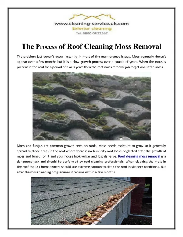The Process of Roof Cleaning Moss Removal