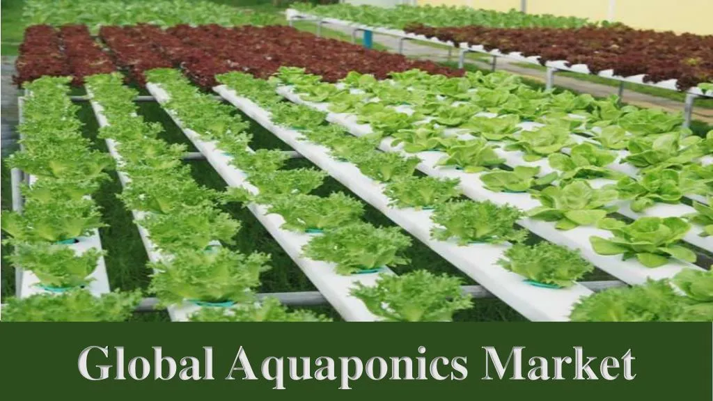 global aquaponics market