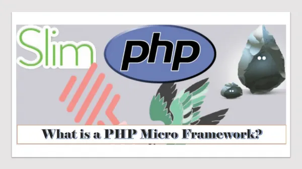 What is a PHP Micro Framework?