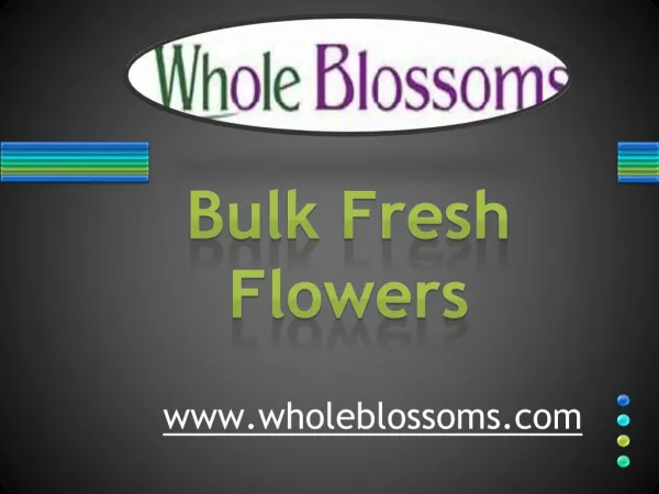 Bulk Fresh Flowers - www.wholeblossoms.com