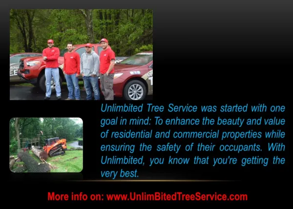 Tree Removal Services in Baltimore, Columbia