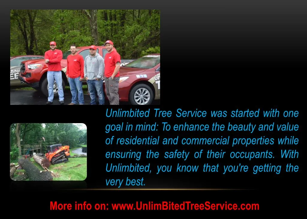 unlimbited tree service was started with one goal