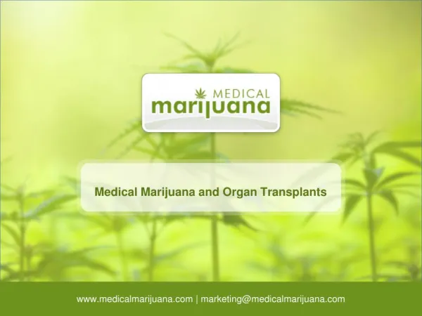 Medical Marijuana and Organ Transplants
