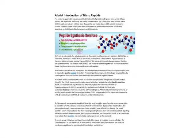 A brief introduction of Micro Peptide