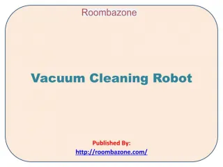 Vacuum Cleaning Robot - slide 1