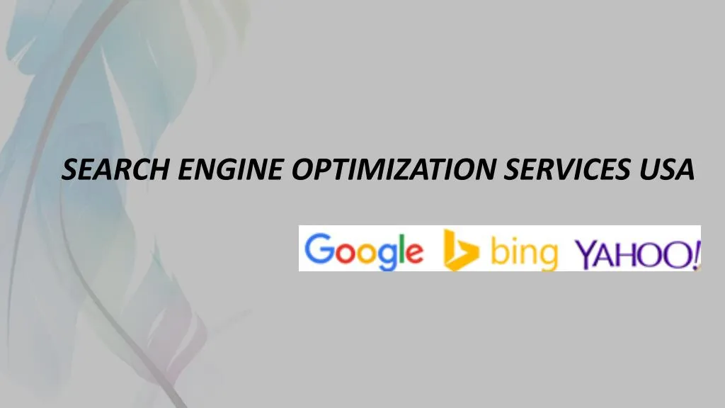 search engine optimization services usa