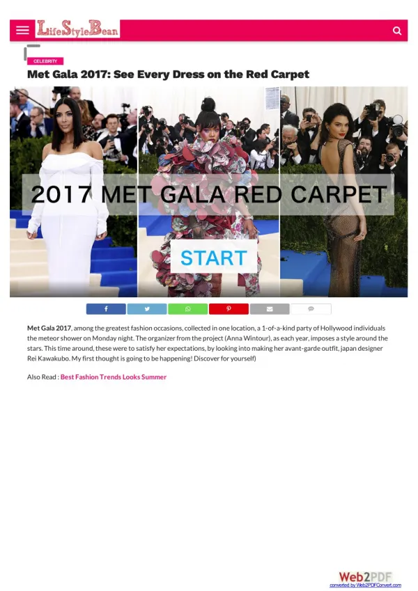 Met Gala 2017 Red Carpet Fashion