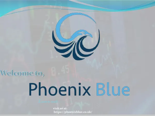 Phoenix Blue Trading training in Bergen