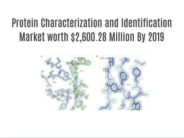 Protein Characterization and Identification Market Forecast to 2019