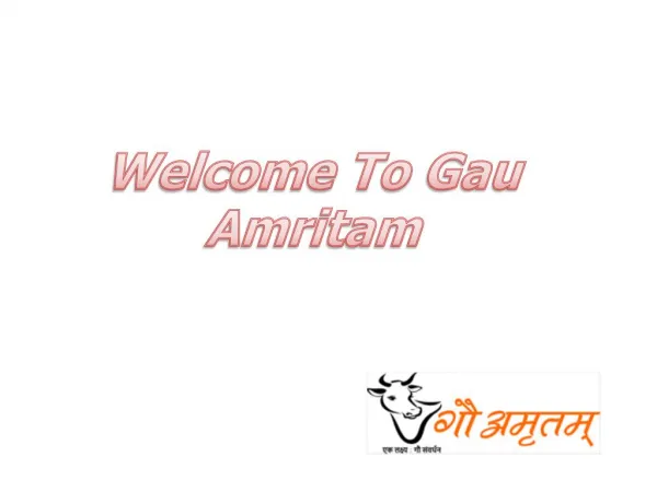 Gau Amritm – A2 Desi Cow milk Delhi