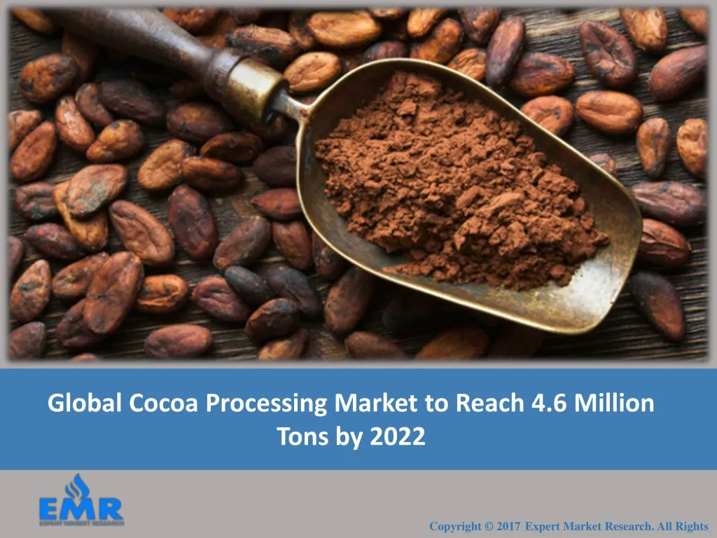 global cocoa processing market to reach