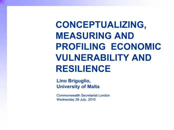 CONCEPTUALIZING, MEASURING AND PROFILING ECONOMIC VULNERABILITY AND RESILIENCE