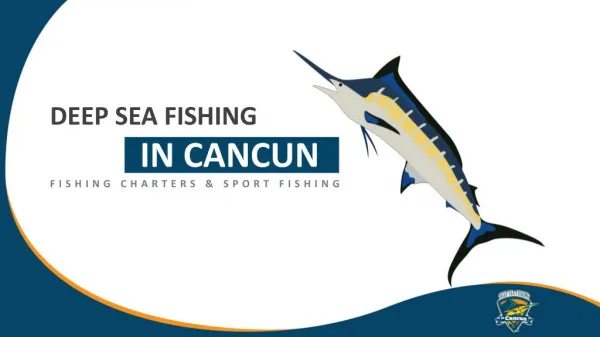 Deep Sea Fishing In Cancun – Fishing Charters & Sport Fishing