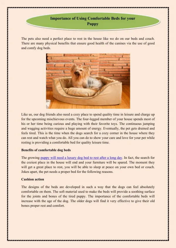 Importance of Using Comfortable Beds for your Puppy