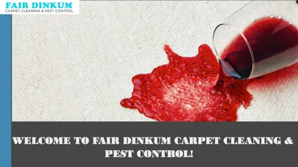 Fair Dinkum Carpet Cleaning & Pest Control
