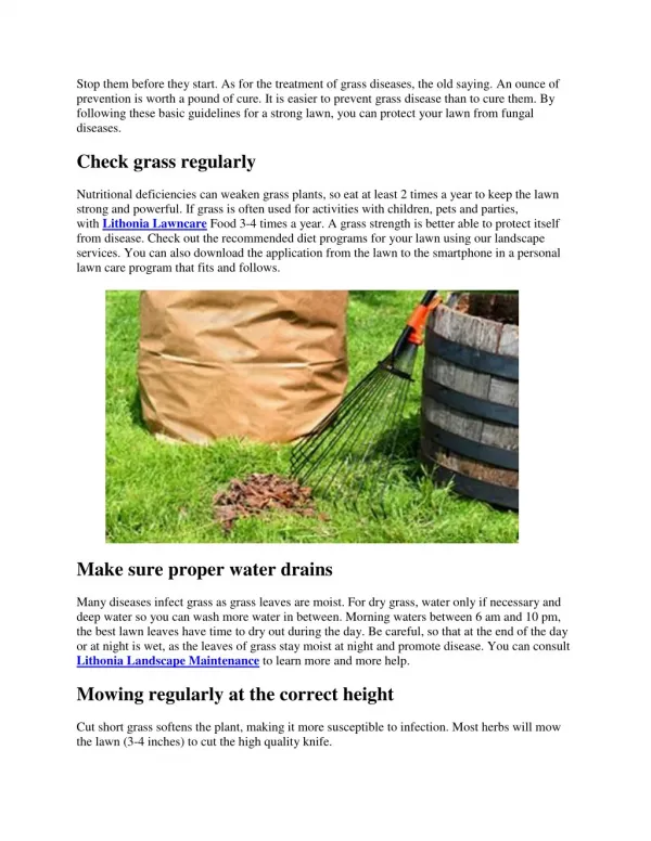 Prevent Lawn & Grass Diseases