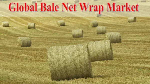 Global Bale Net Wrap Market