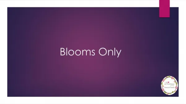 Online Flower Delivery in Pune | Blooms Only