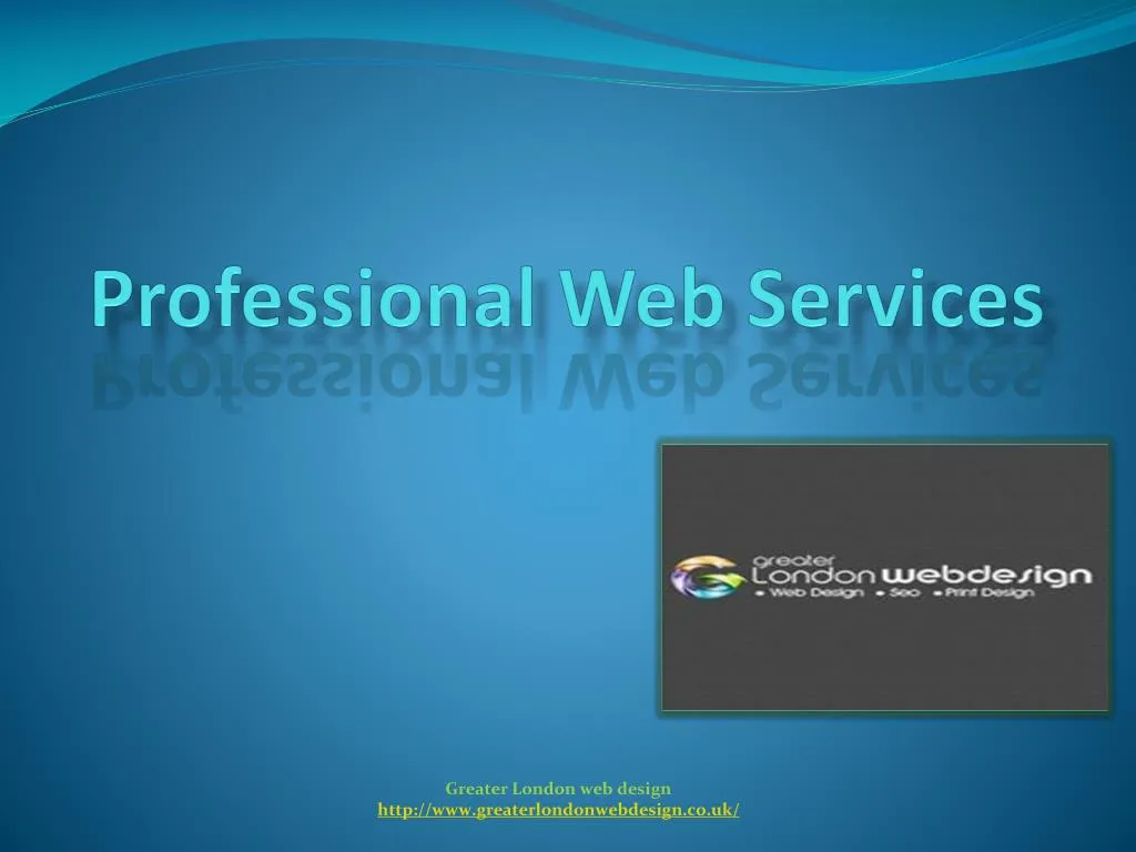 professional web services