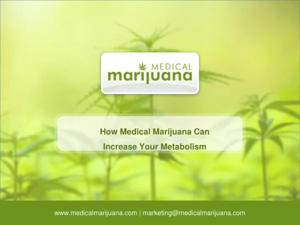 How Medical Marijuana Can Increase Your Metabolism