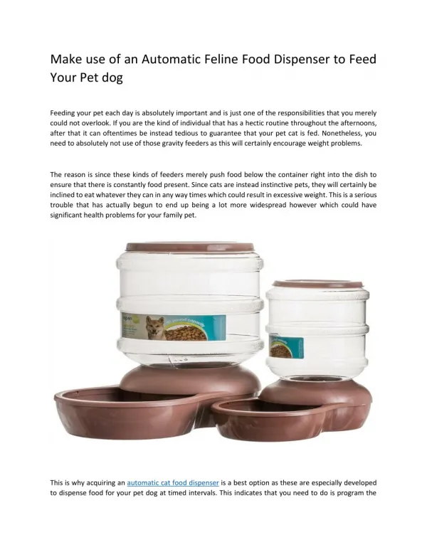 Make use of an Automatic Feline Food Dispenser to Feed Your Pet dog
