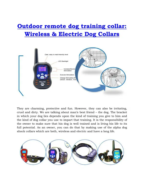 Outdoor remote dog training collar - Wireless & Electric Dog Collars