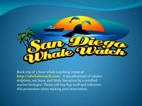 best whale watching in san diego