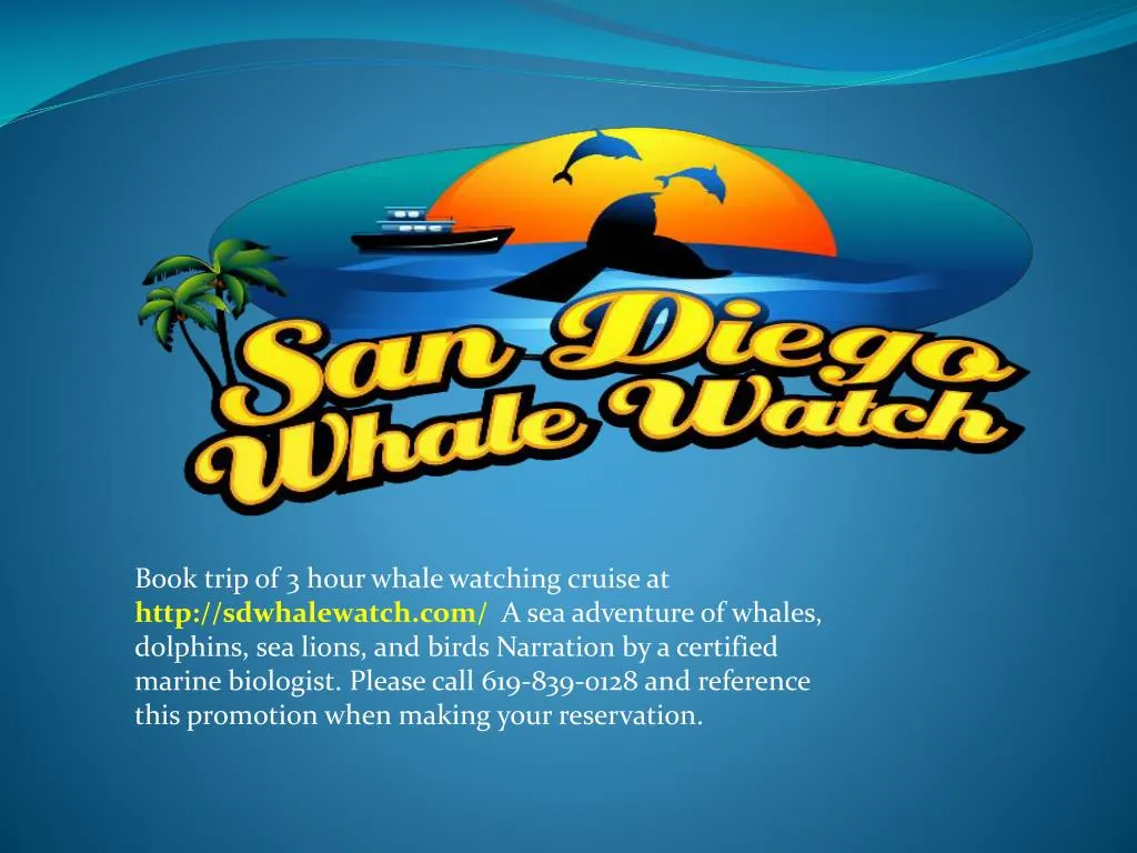 book trip of 3 hour whale watching cruise at http