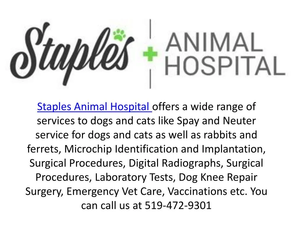staples animal hospital offers a wide range