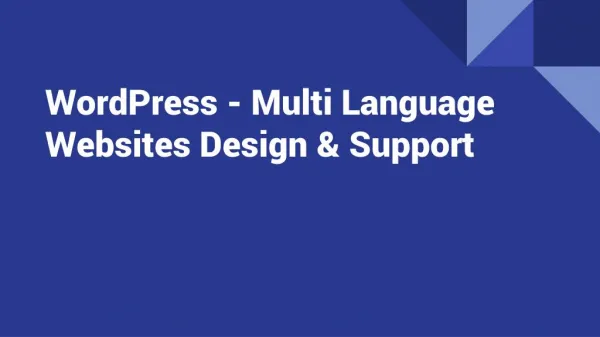 WordPress - Multi Language Websites Design & Support