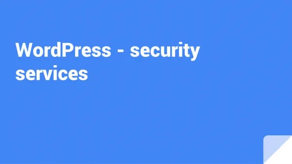WordPress - security services