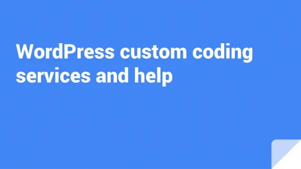 WordPress custom coding services and help