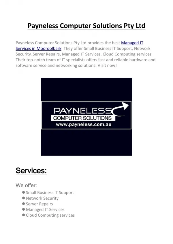 Payneless Computer Solutions Pty Ltd
