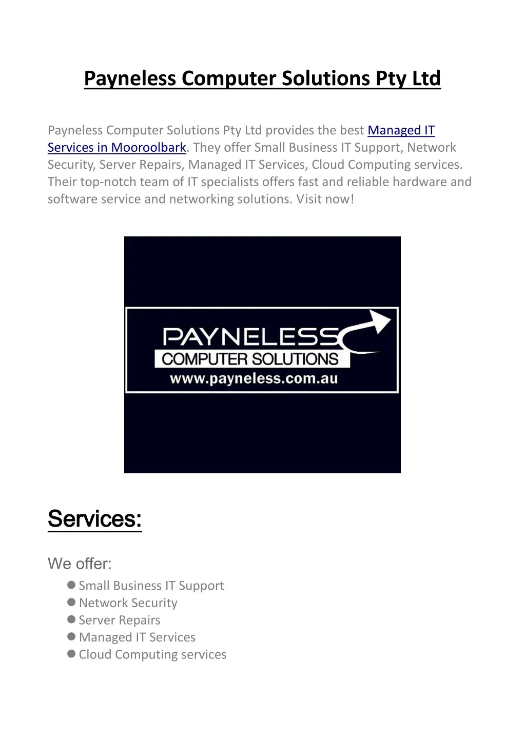 payneless computer solutions pty ltd