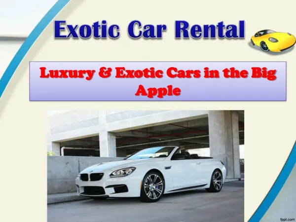 Exotic Car Rental New York
