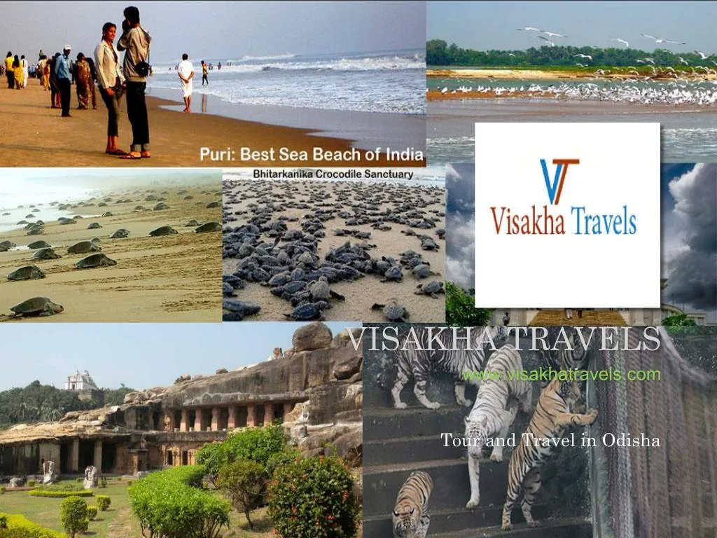 visakha travels www visakhatravels com