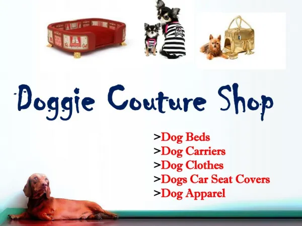 Designer Dog Apparel | Doggie Couture Shop