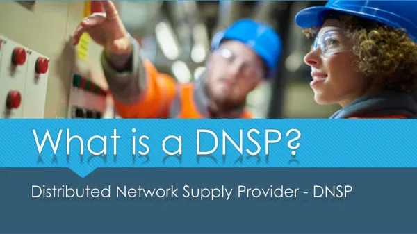 What is DNSP? BCJ Controls | Solar Relay