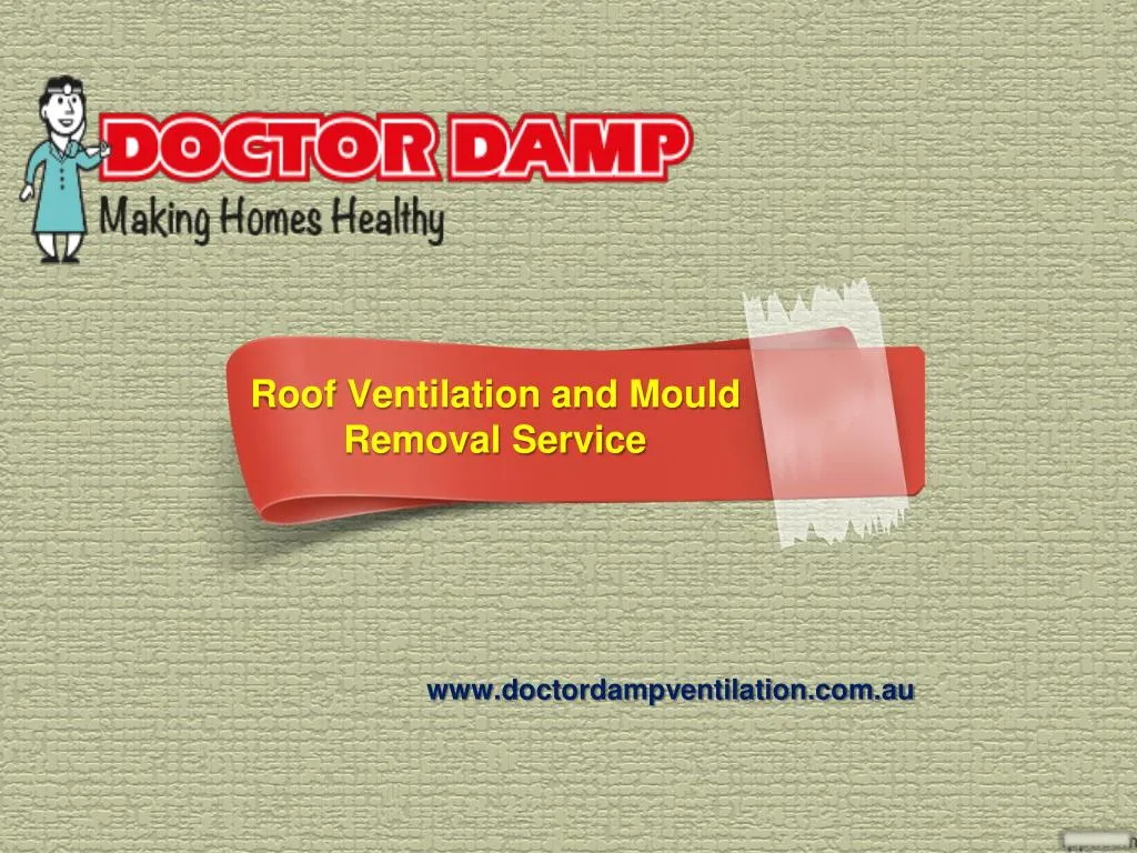 roof ventilation and mould removal service