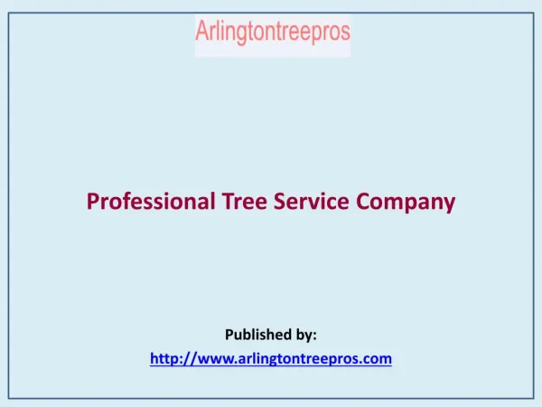 Professional Tree Service Company