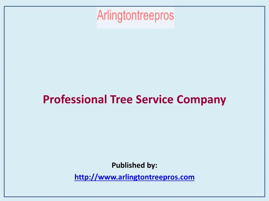 professional tree service company published by http www arlingtontreepros com